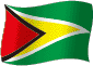 Flag of Guyana flickering gradation image