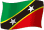 Flag of Saint Christopher and Nevis flickering gradation image
