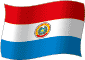 Flag of Paraguay flickering gradation image