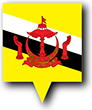 Flag of Brunei image [Pin]