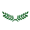 Olive leaf image
