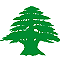 Cedrus libani image