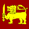 Lion image