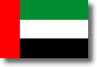Flag of United Arab Emirates shadow image