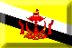 Flag of Brunei emboss image