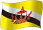 Flag of Brunei flickering gradation image
