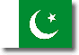 Flag of Pakistan shadow image