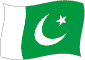 Flag of Pakistan flickering image