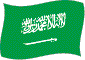 Flag of Saudi Arabia flickering image