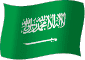 Flag of Saudi Arabia flickering gradation image