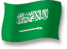 Flag of Saudi Arabia flickering gradation shadow image