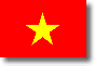 Flag of Vietnam shadow image