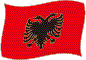 Albaniens flag flimrende billede
