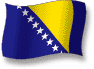Flag of Bosnia and Herzegowina flickering gradation shadow image