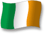 Flag of Ireland flickering gradation shadow image