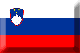 Flag of Slovenia emboss image