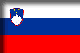 Flag of Slovenia drop shadow image