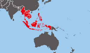 ASEAN image