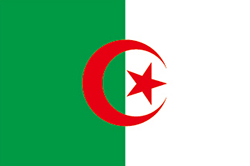 Flag of Algeria image