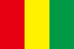 ギニアの国旗画像