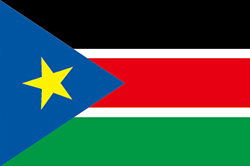 Flag of South Sudan image