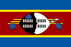 Flag of Swaziland image