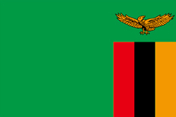 Flag of Zambia image