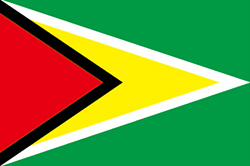 Flag of Guyana image