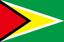 Flag of Guyana image