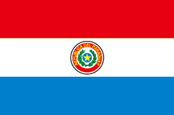 Flag of Paraguay image