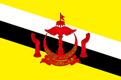 Flag of Brunei image
