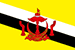 Flag of Brunei small image