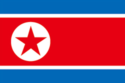Flag of North Korea image