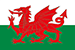 Flag of Wales small image