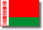 Flag of Belarus shadow image