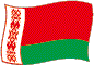 Hvideruslands flag flimrende billede