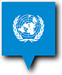 Flag of United Nations image [Pin]