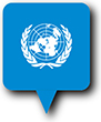 Flag of United Nations image [Round pin]
