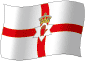 Flag of Northern Ireland flickering gradation image