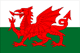 Flag of Wales image