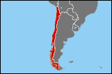 Map of Chile small image